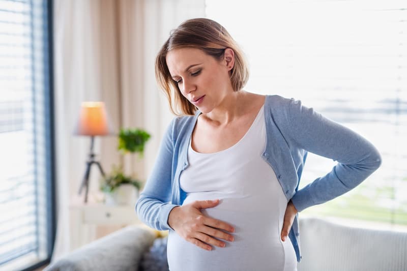 A portrait of pregnant young woman indoors at home.
