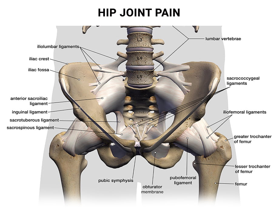 Is My Pain Caused By A Pinched Nerve Or A Herniated Disk?: Louisiana Pain  Specialists: Pain Management