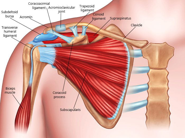 https://www.newyorkpaincare.com/wp-content/uploads/2022/11/shoulder-pain-and-injury.jpg