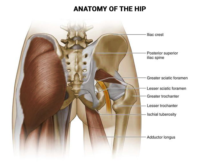 Hip Pain Treatment in NYC